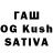 Бошки марихуана White Widow Asliddin Faxriddinov