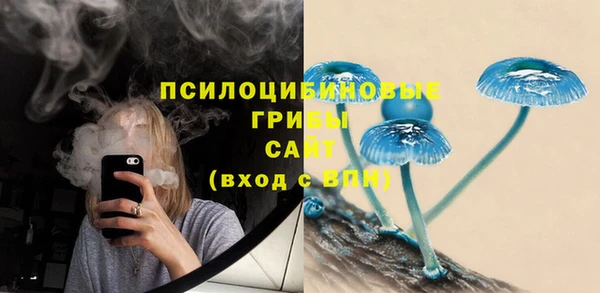 mdma Богданович