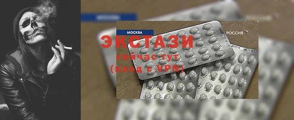 ECSTASY Богородицк