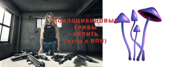 mdma Богданович