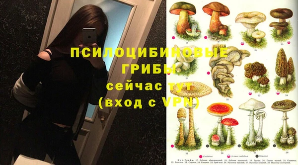mdma Богданович