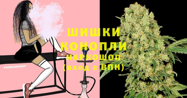 ECSTASY Богородицк