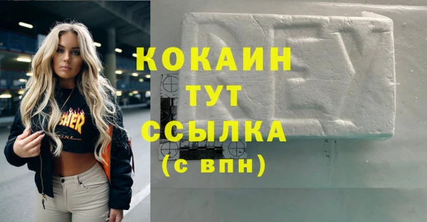 ECSTASY Богородицк