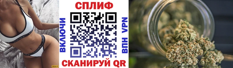 Канабис ГИДРОПОН Кедровый