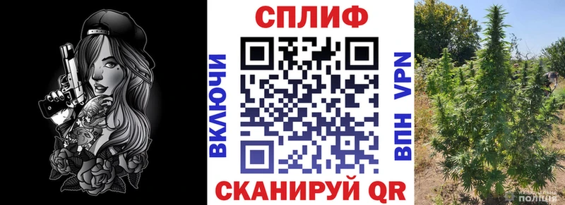 Бошки марихуана семена  Купить  Кедровый 